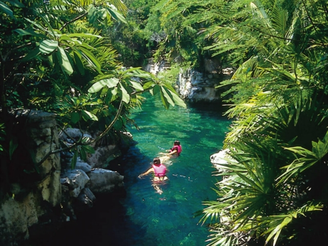 Nada en los cenotes